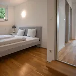 Apartment Hilltop I Free Parking