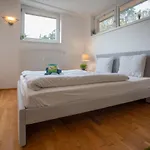 Hilltop I Free Parking Apartment